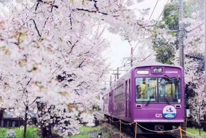 Japan vacation packages 2026 from Osak 1