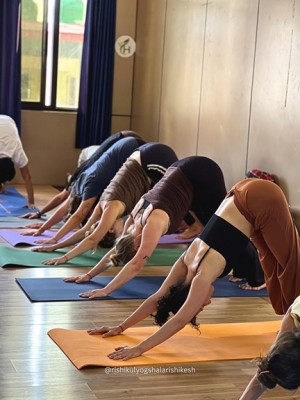 Downward Facing Dog Pose