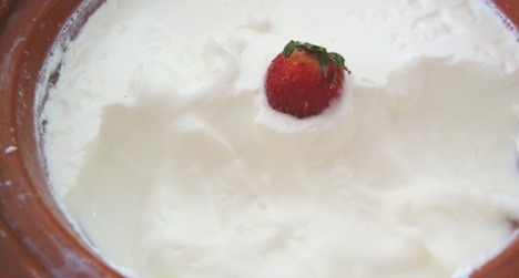 thick and creamy homemade yogurt made in MEC thick and creamy homemade yogurt made in MEC