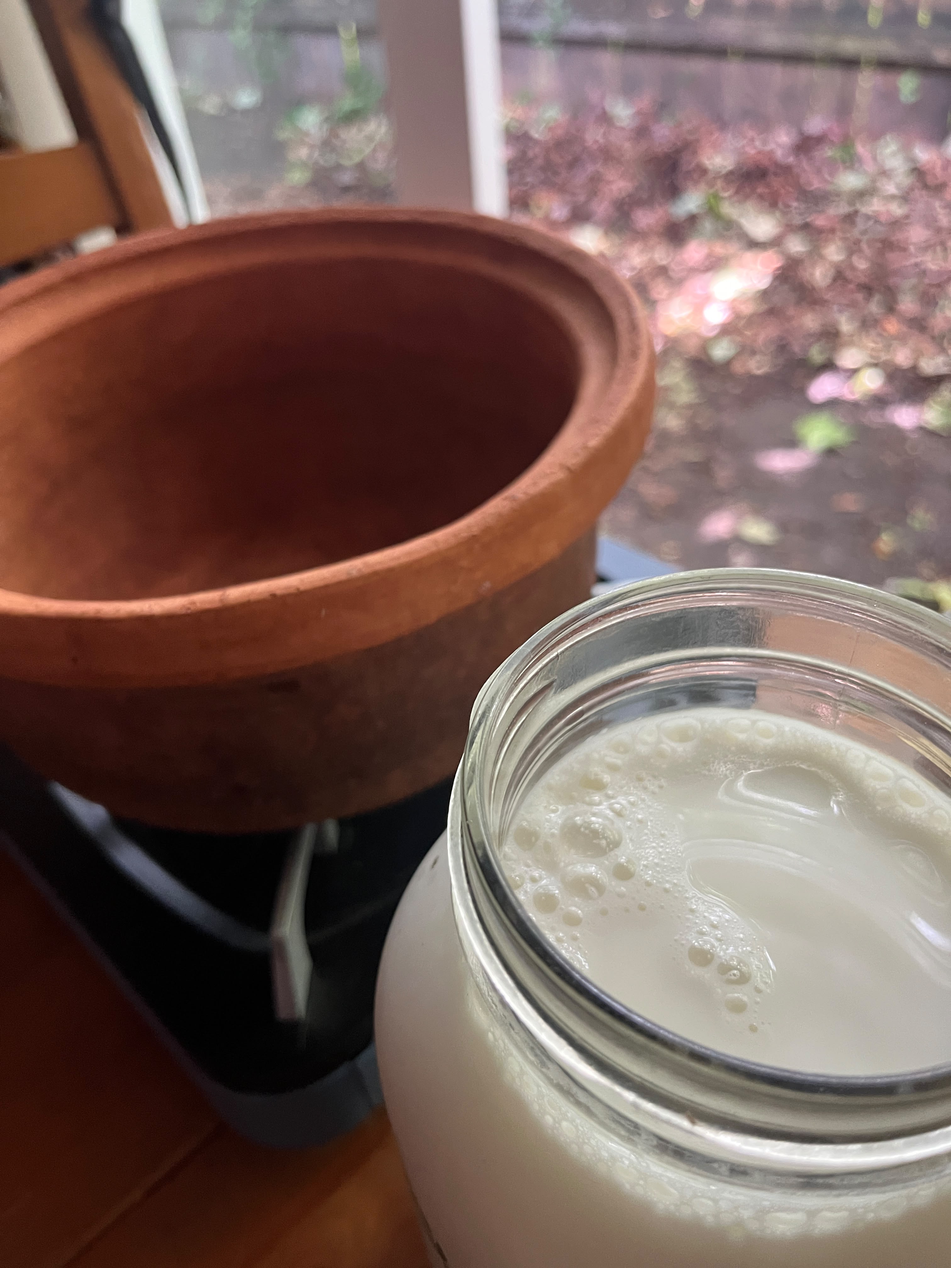 Two simple ingredients to make homemade fresh cheese Two simple ingredients to make homemade fresh cheese
