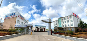 China Top Lead Rubber Sheet Service