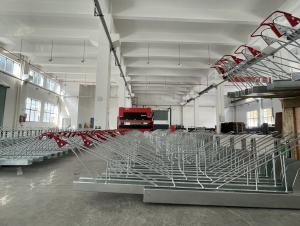 Customized Bike Parking Rack