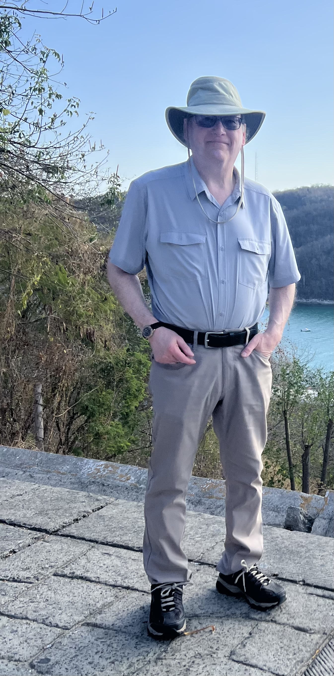 The Author David Mannes