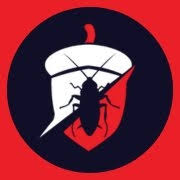 Oak City Pest Control Expands Professional Termite Removal Services in Raleigh, NC to Help Protect Homes and Businesses