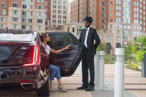 Executive Fleet for Seamless Business Travel Solutions