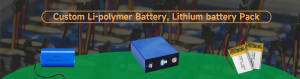 Custom Li Polymer Battery Lithium ion Battery