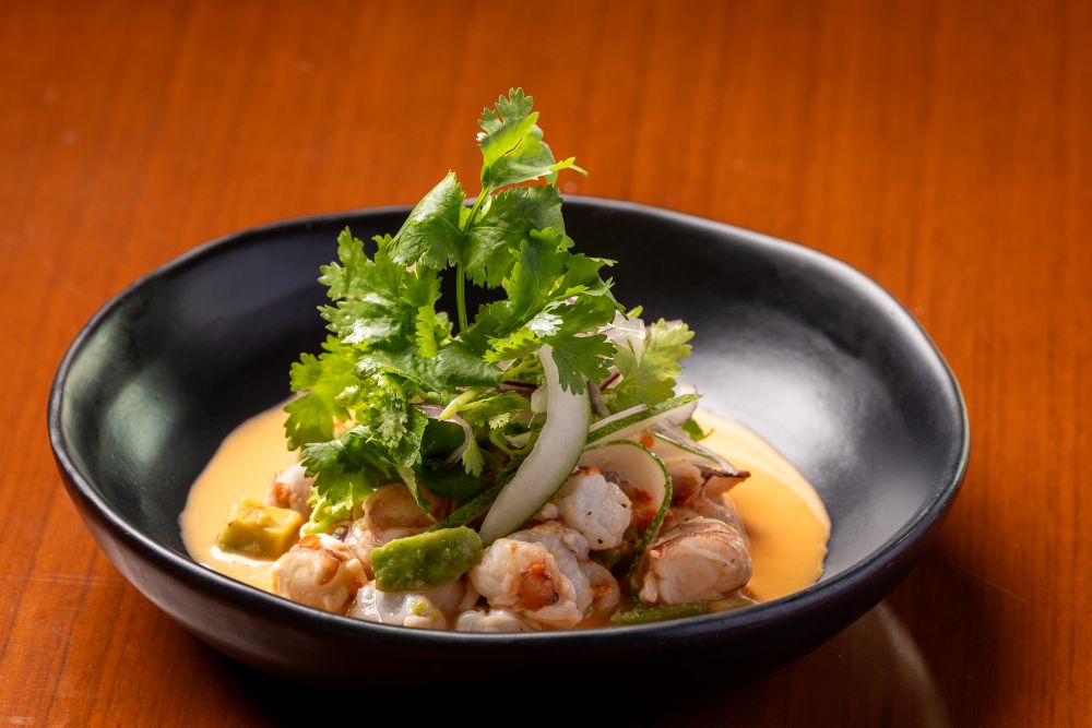 Aguachile with Shrimp Avocado and Bright Citrus Notes Aguachile with Shrimp Avocado and Bright Citrus Notes