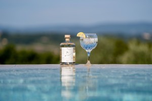 Botanical Symphony London Dry Gin
