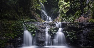 Get your child back to nature