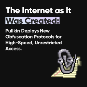 Pullkin Introduces Specialized Connectivity Features to Navigate Russia's Expanding Internet Whitelists