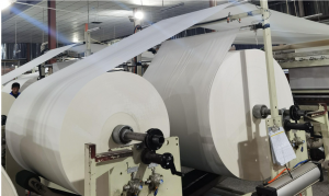 Hand Towel Paper Parent Rolls