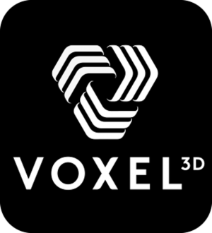 Voxel 3D - Logo