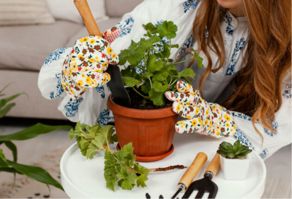 Top 10 Suppliers of Artificial Plants In China Top 10 Suppliers of Artificial Plants In China