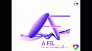A FEL General Ledger