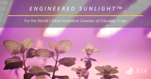 G2V Optics Opens Door to New Horticulture Partnerships After Raising $1.875 million in Recent Seed Round