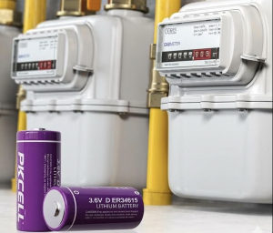 pkcell er34615 smart meter power