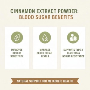 Cinnamon Extract Powder 1