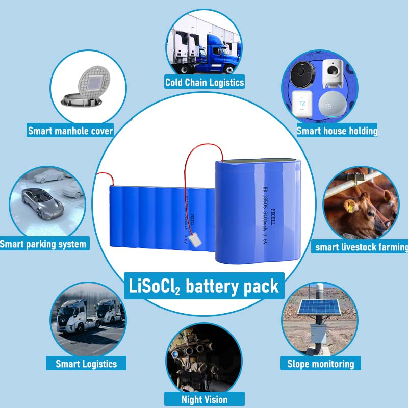 LiSoCl2 battery pack
