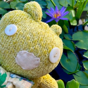 Tater The Ragdoll WaterlilyBear Water Gardening Mascot