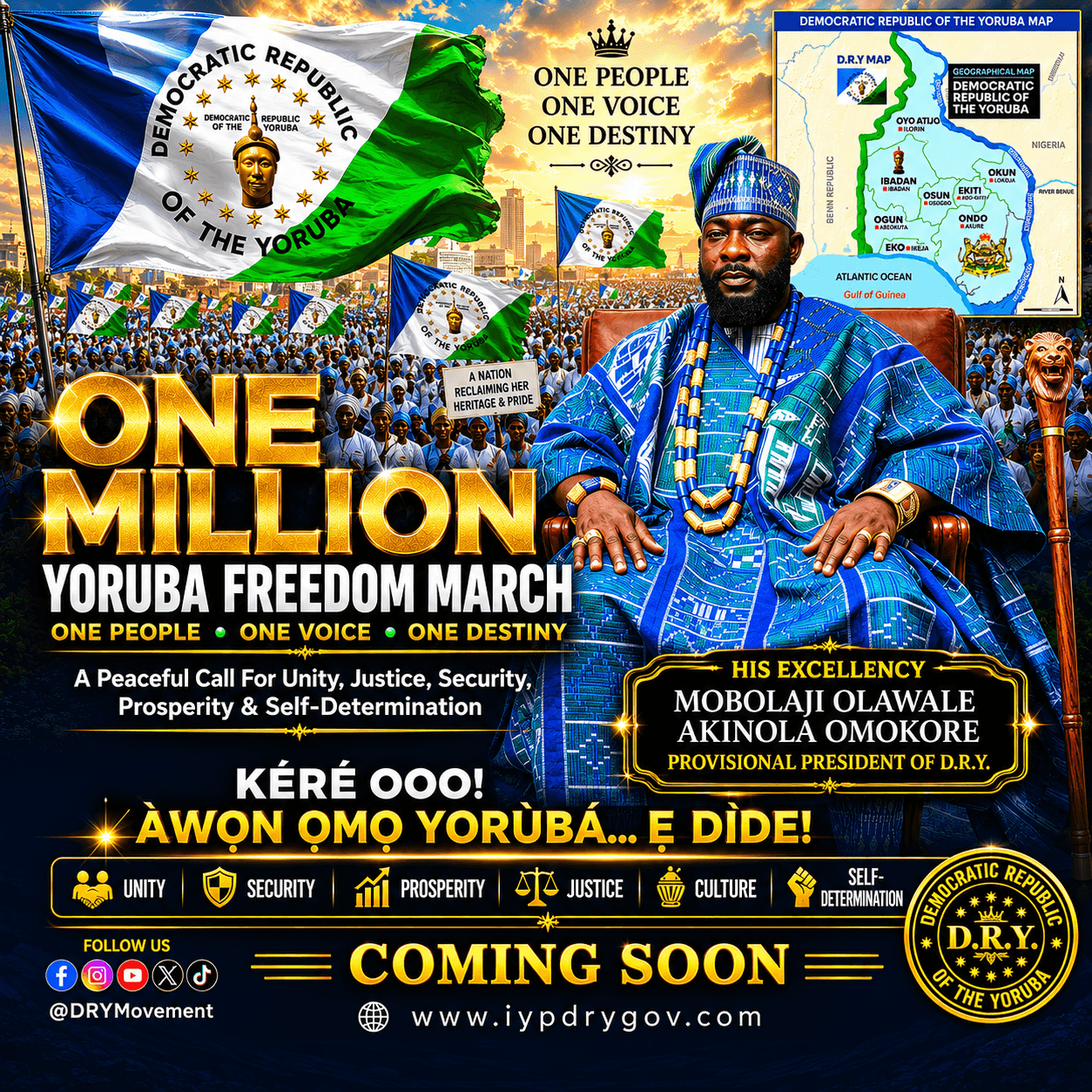 H E Prof Mobolaji Olawale Akinola Omokore Provisional President of the DRY