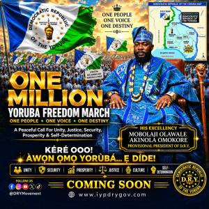 H E Prof Mobolaji Olawale Akinola Omokore Provisional President of the DRY