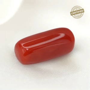Moonga Red Coral