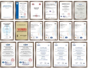 ISO 9001 certification ISO 14001 environmental management certification