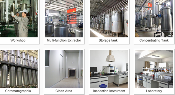 Bulk NMN Powder Factory Bulk NMN Powder Factory