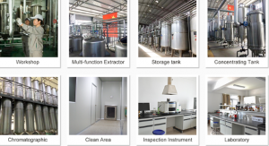 Bulk NMN Powder Factory