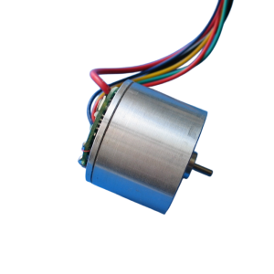 Best OEM 24v BLDC Motor Manufacturer In China