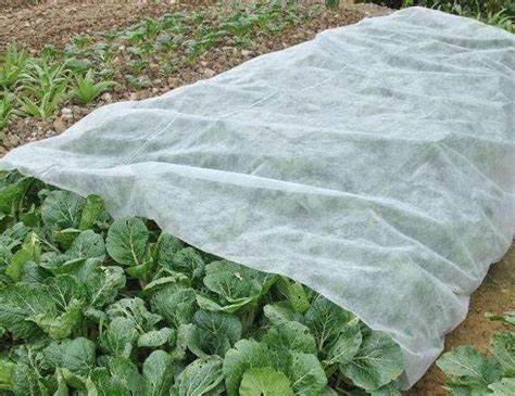 YDL Waterproof Agricultural And Industrial Spunlace Nonwovens YDL Waterproof Agricultural And Industrial Spunlace Nonwovens