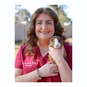 Dr Hannah Barber