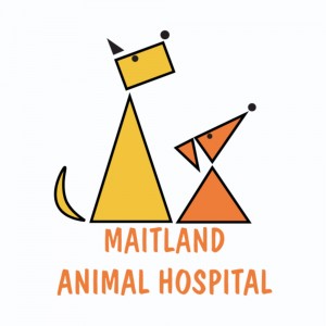 Maitland Animal Hospital