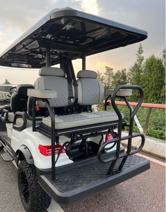 High End Customized Golf Carts High End Customized Golf Carts