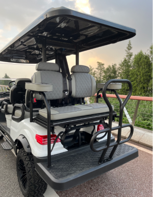 High End Customized Golf Carts
