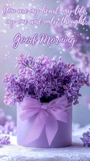 Beautiful good morning images for her