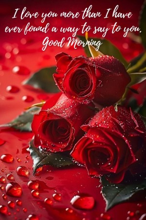 Good morning my love images