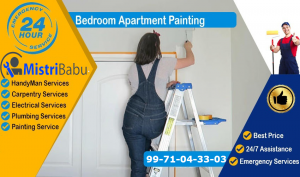 Plumber, Electrician, Painter, Carpenter, Interior design, Tiling, Cleaning, CCTV installation Vasant Kunj