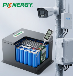 Lithium Ion Battery