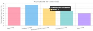 L Carnitine Powder 1