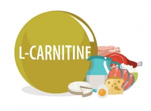 L Carnitine Powder