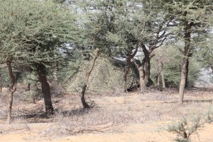 camouflage net woodland