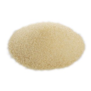 top gelatin manufacturers 1