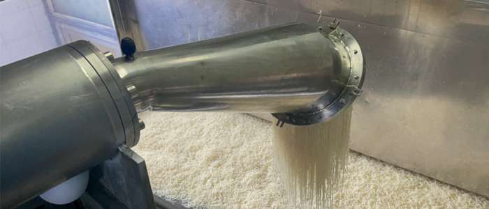 top gelatin manufacturers top gelatin manufacturers