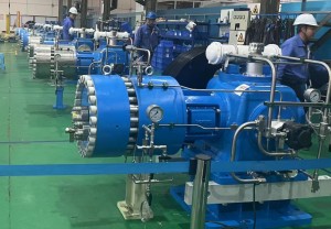 hydrogen compressor diaphragm detail