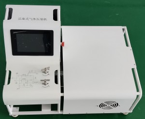 Hydrogen Compressor