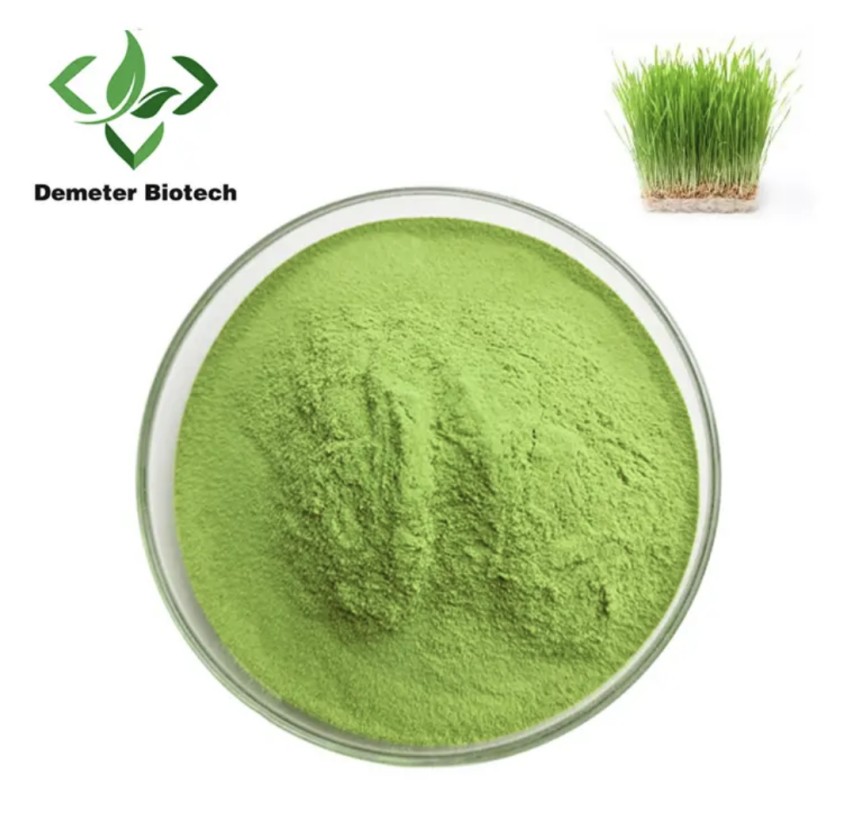 Demeterherb Wholesale Barley Grass Powder Demeterherb Wholesale Barley Grass Powder