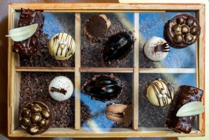 A Curated Selection of Handcrafted Chocolate Confections