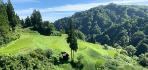 What Are Travelers Missing Between  Japan’s Famous Destinations?