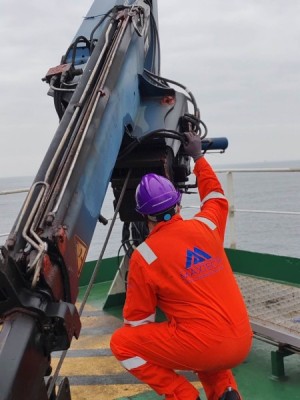 Offshore Platform Crane